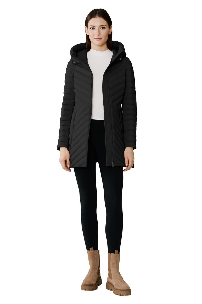Estelle Water Resistant 700 Fill Power Hooded Down Jacket, Alternate, color, BLACK