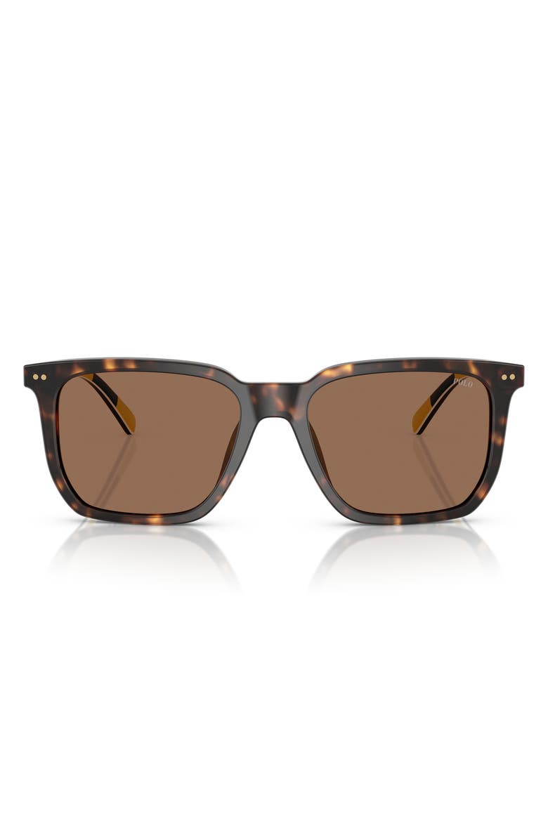 Polo Ralph Lauren 55mm Rectangular Sunglasses, Main, color, Shiny Havana