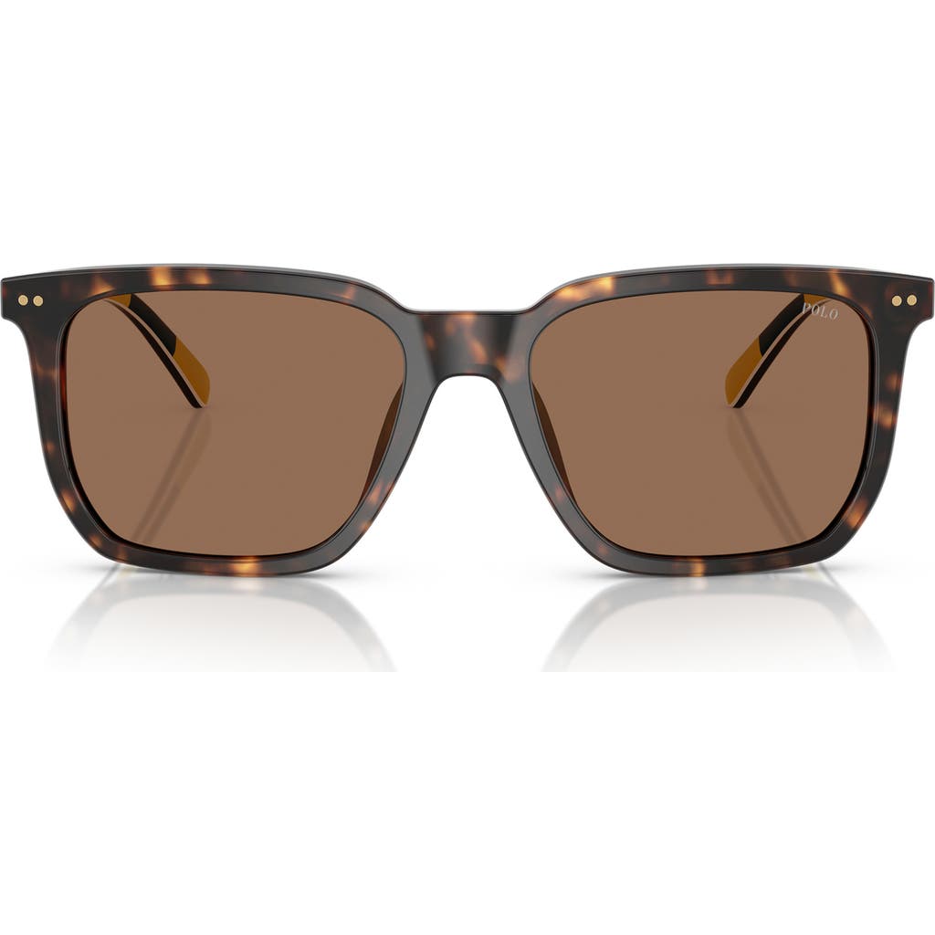 Ralph Lauren Ralph By 55mm Rectangular Sunglasses In Shiny Havana