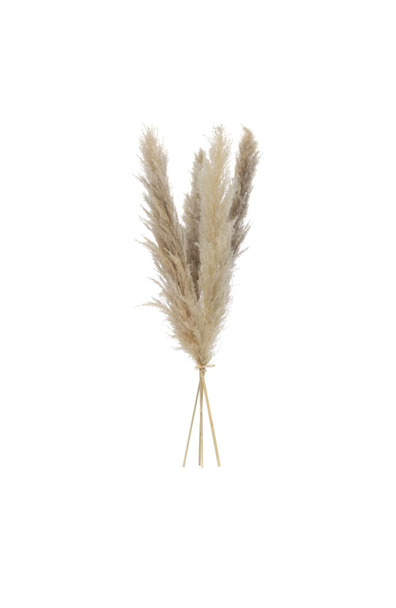 NEARLY NATURAL 33-in Dried Natural Pampas Grass Bundle - Set of 48, Main, color, Beige