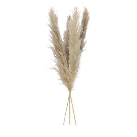 33-in Dried Natural Pampas Grass Bundle - Set of 48