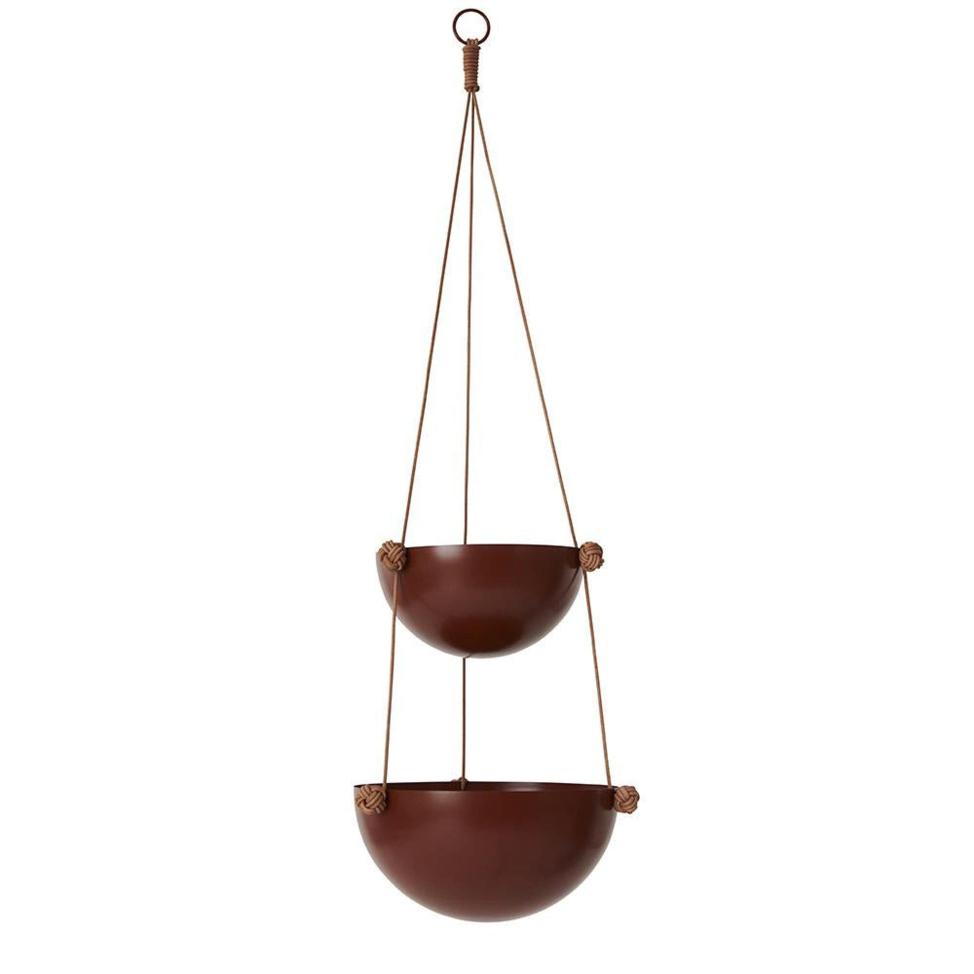selected Nutmeg