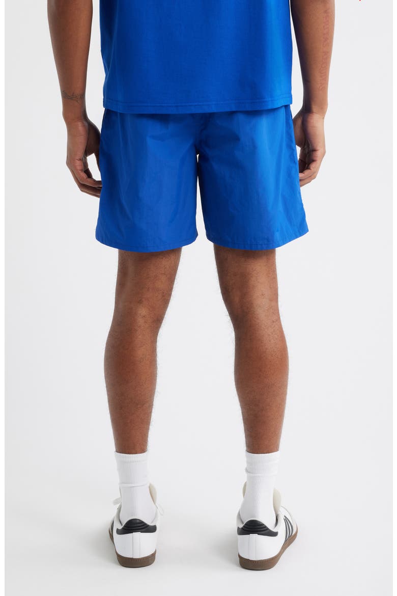 BB Sunrise Drawstring Nylon Shorts, Alternate, color, SURF THE WEB