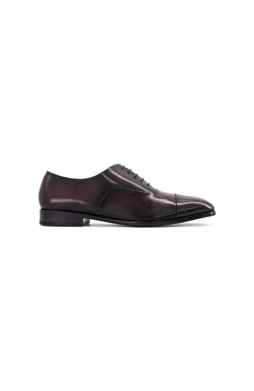 Anthony Veer Genoa Cap Toe Oxford In Brown