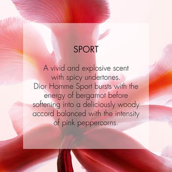 'Dior Homme Sport Eau de Toilette