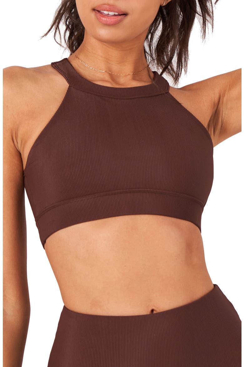 High Neck Crop Bra Top, Main, color, BROWN RIB