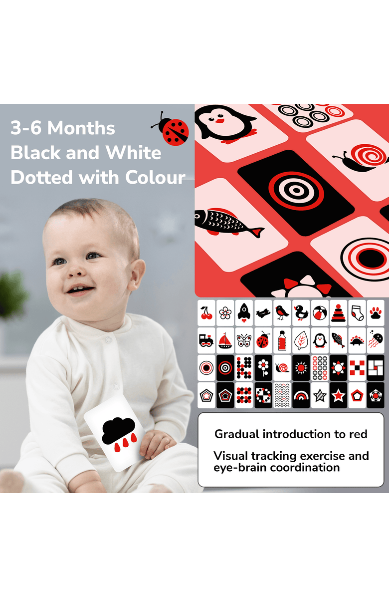 Quokka High Contrast & Vocabulary Flash Cards for Kids, Alternate, color, Set 2