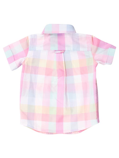 Rufflebutts Boys Short Sleeve Button Down Shirt