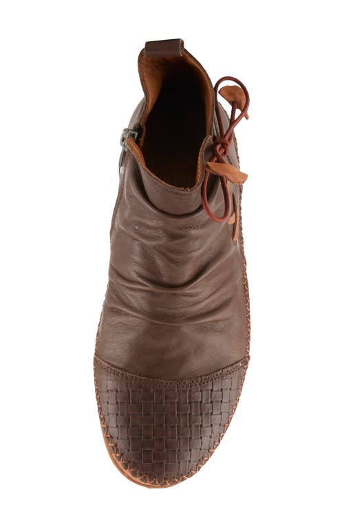 Spring Step In Brown