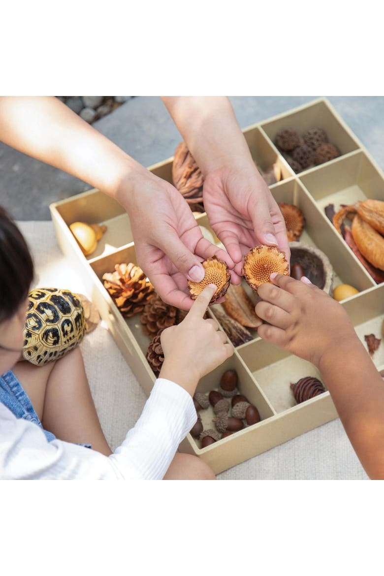 Nature's Geometry Loose Parts STEM Kit, Alternate, color, Multicolored