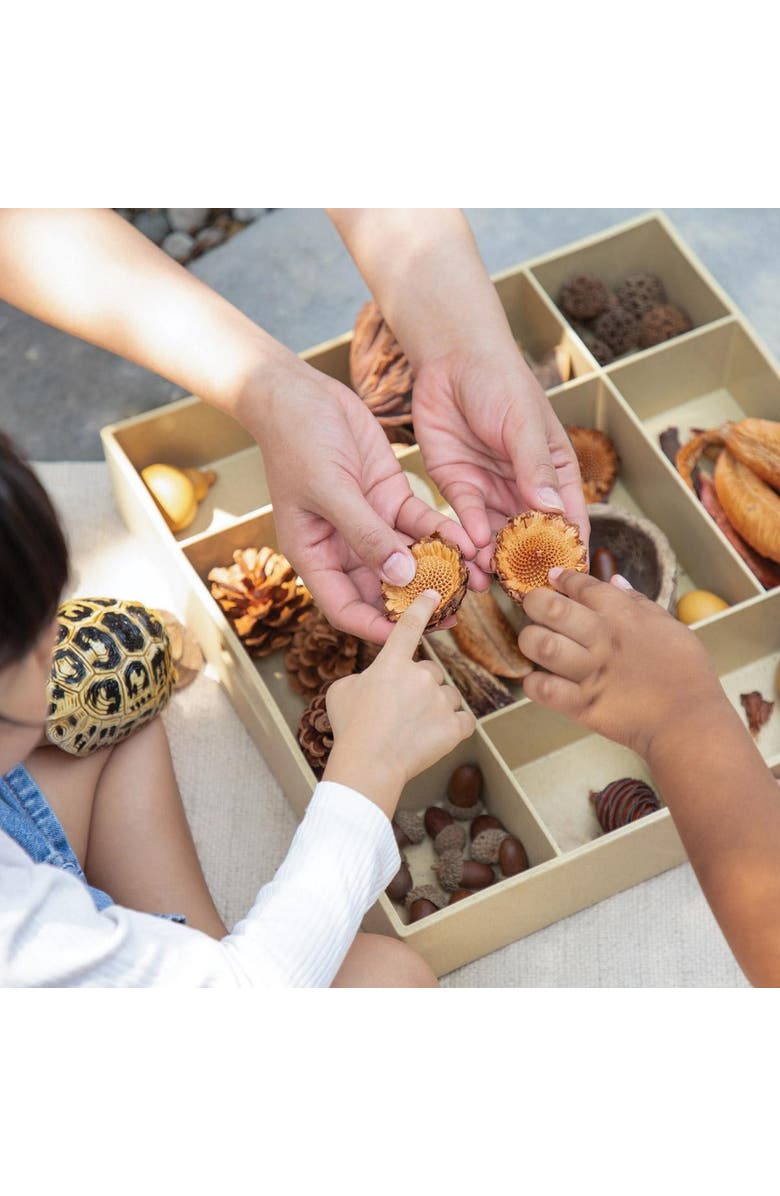 Kaplan Early Learning Company Nature's Geometry Loose Parts STEM Kit, Alternate, color, Multicolored