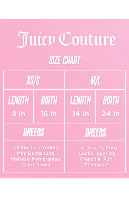 Juicy Couture Velour Dog Tracksuit In Royal Purple