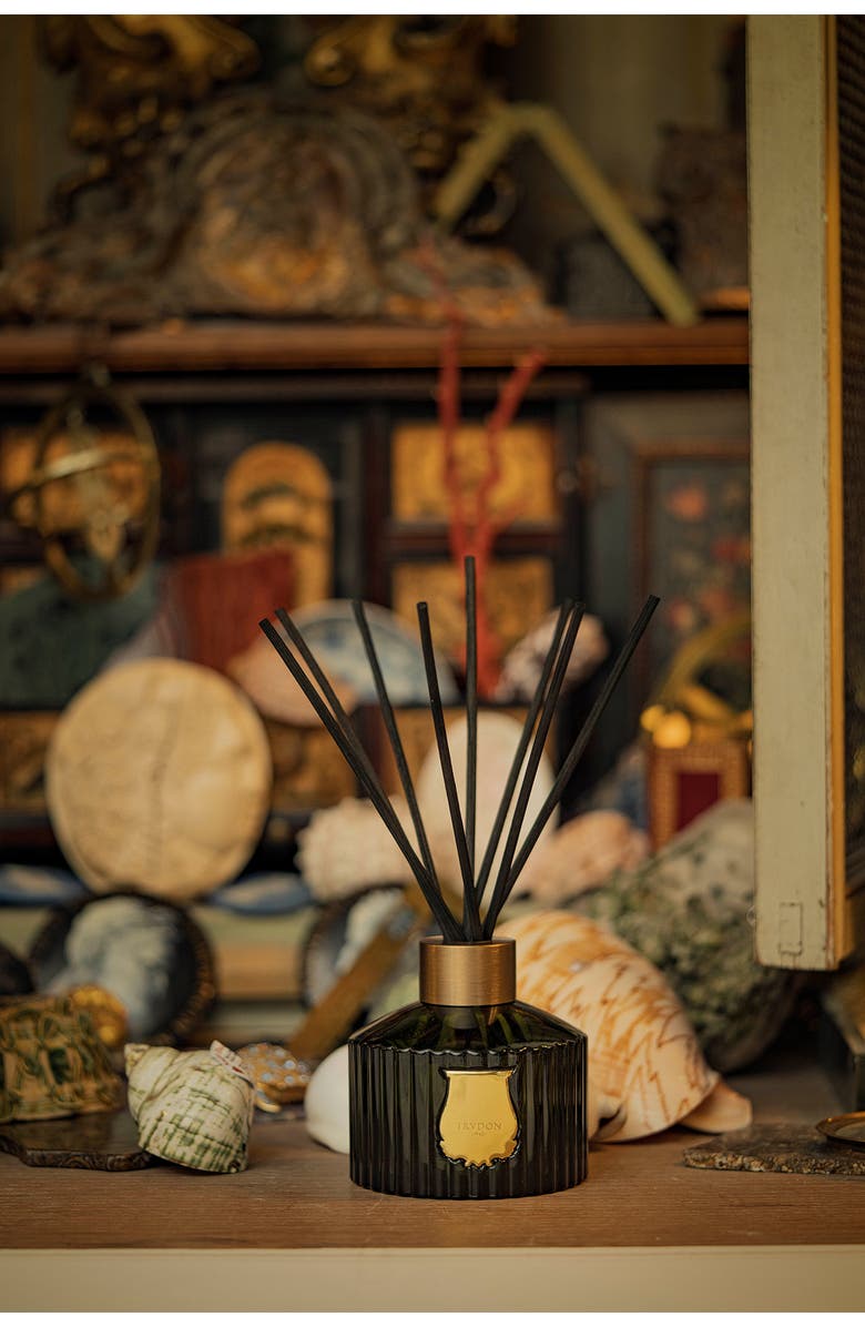 Trudon Abd El Kader Moroccan Mint Tea Diffuser, Alternate, color, Abd El Kader