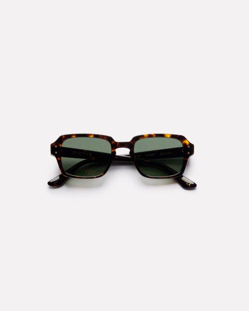 Epokhe Wilson Sunglasses In Brown