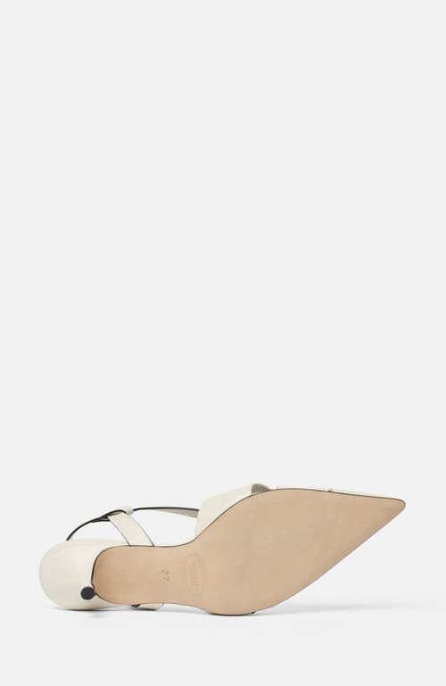 Shop Scarosso Clio Pumps