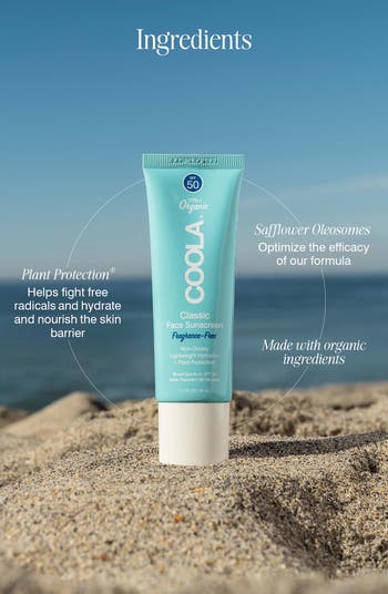 Suncare Fragrance Free Classic Face Organic Sunscreen Lotion SPF 50 Duo $64 Value