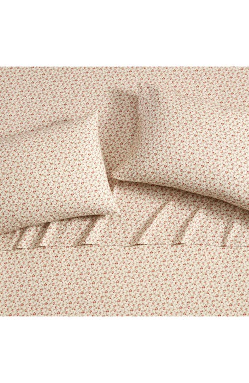 Laura Ashley Sweet Success Cotton Percale Sheet Set In Pink