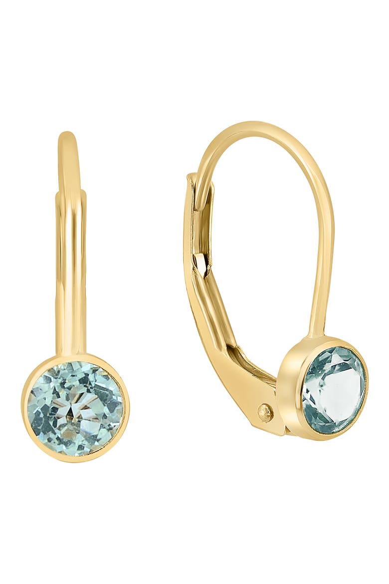 Stone Lever Back Earrings, Main, color, BLUE