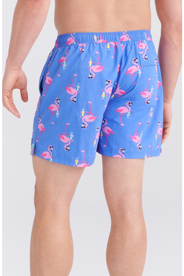 Go Coastal 2-in-1 Volley Swim Shorts, Alternate, color, FLOCKTAIL HOUR-SPORT BLUE
