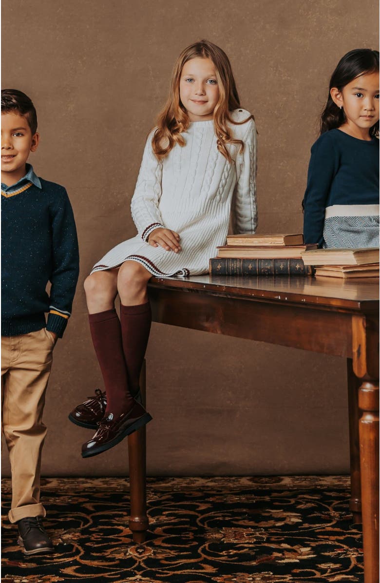 Hope & Henry Boys' Organic V-Neck Sweater, Kids, Alternate, color, Navy Fleck With Tipping