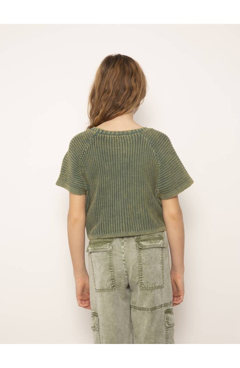 Central Park West Beck Garment Wash Crew, Alternate, color, Olive