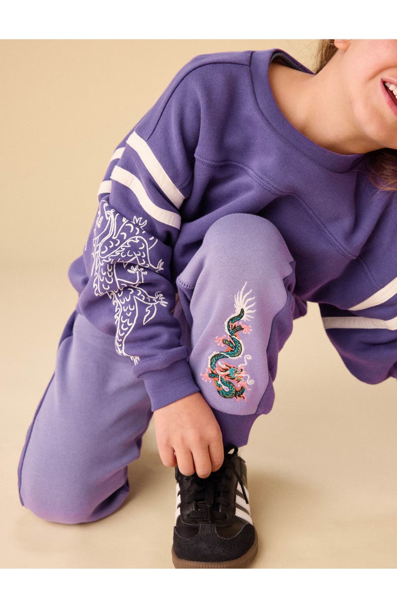 Tea Collection Sporty Dragon Sleeve Popover, Alternate, color, Ultraviolet