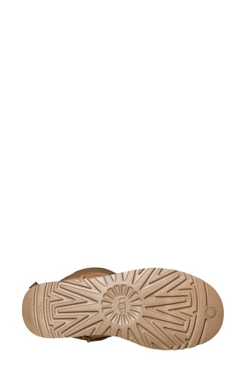 Ugg(r) Bailey Bow Tall Ii Boot In Brown