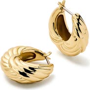 Ana Luisa Gold Hoop Earrings - Tymie