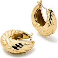 Ana Luisa Gold Hoop Earrings - Tymie