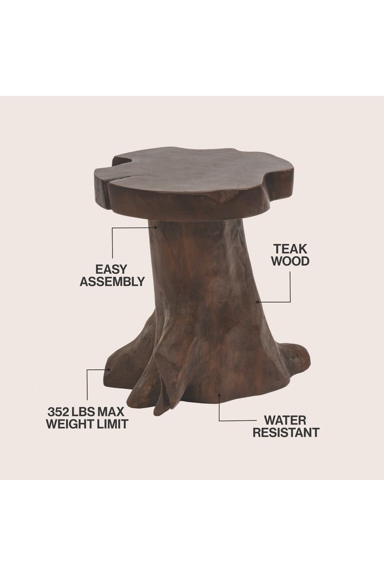 Amara Rustic Handcrafted Solid Wood Live Edge Tree Stump Stool, Accent Side Table and Decorative Indoor Plant Stand, Alternate, color, Dark Brown