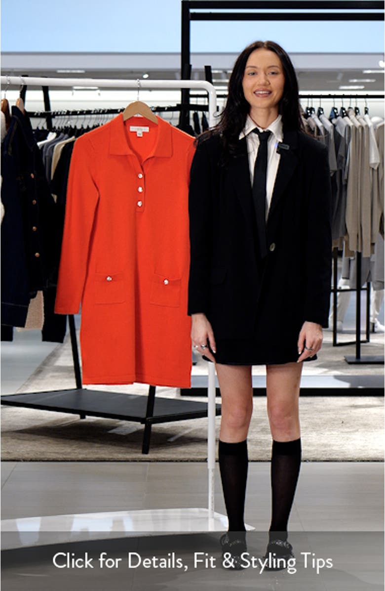 Adalena Long Sleeve Sweater Dress, sales video thumbnail