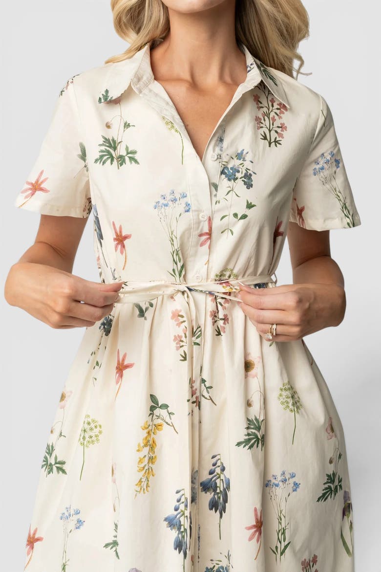 Marley Midi Dress, Alternate, color, Ivory + Multi Floral