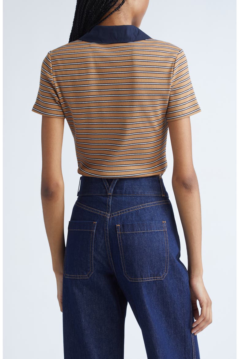 Kearney Stripe Stretch Cotton Rib Polo, Alternate, color, BROWN MULTI
