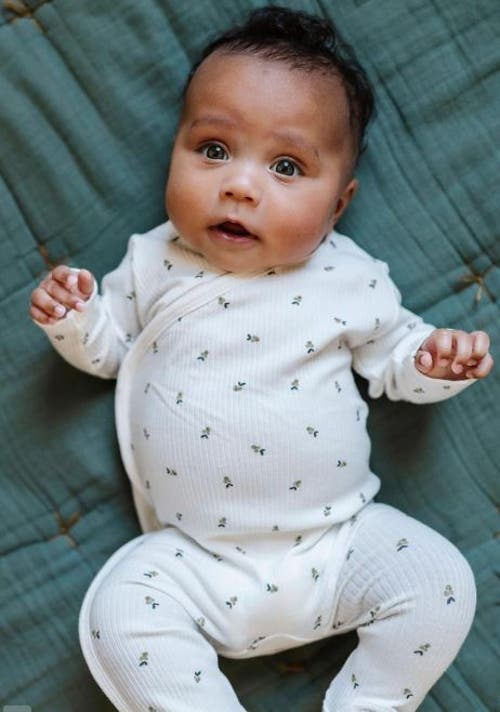 Ely's & Co. Baby Cotton Ribbed Beanie In Ivory/sage Berry