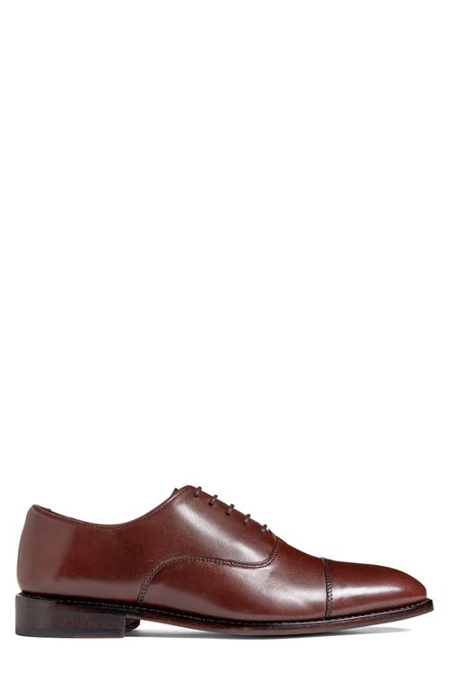 Anthony Veer Clinton Cap Toe Oxford In Chocolate Brown