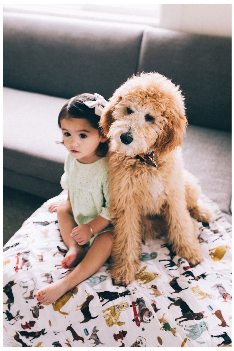 Kids' Cotton Muslin Quilted Throw, Alternate, color, WOOF
