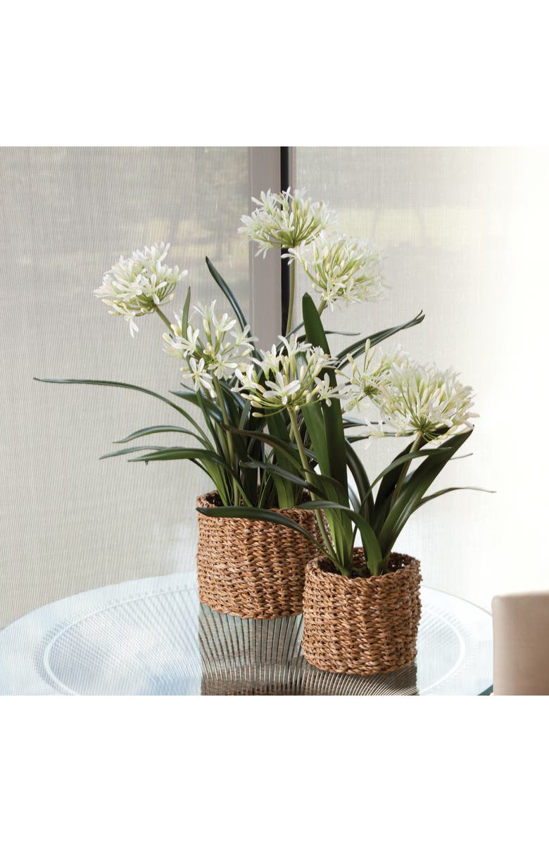 Napa Home & Garden Agapanthus Drop-In Faux (Fake) 23", Alternate, color, 