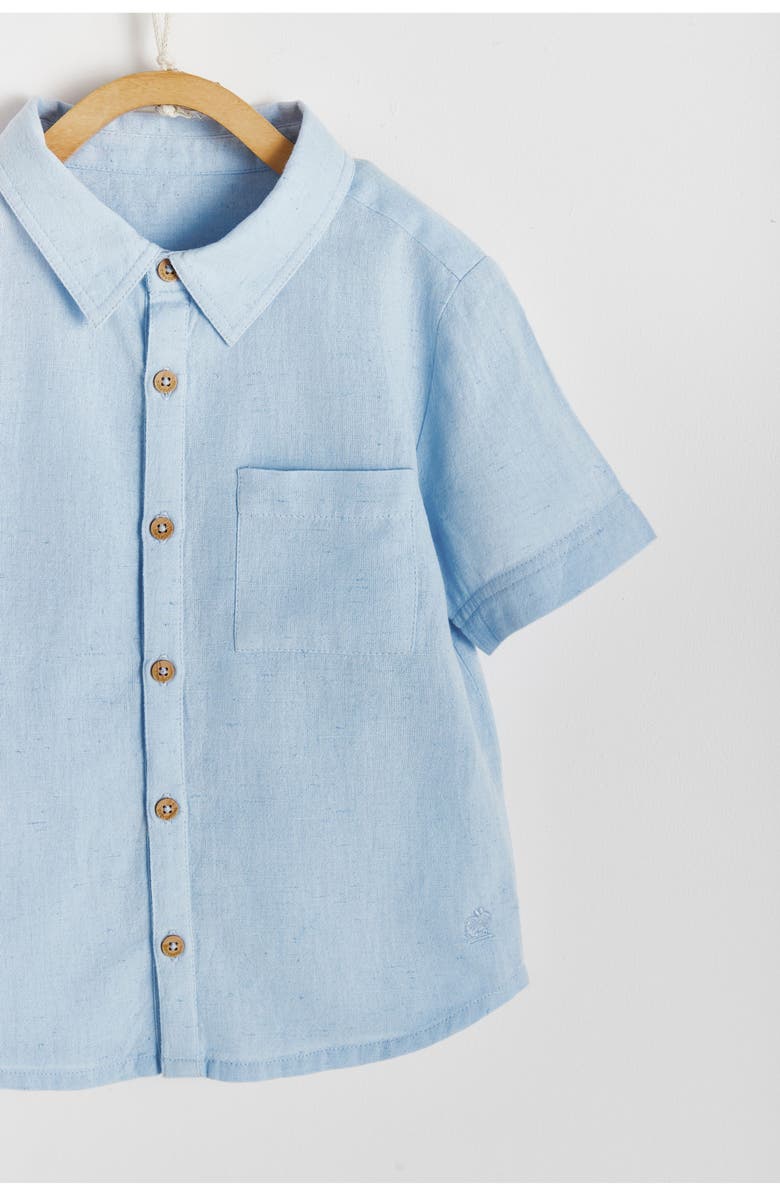 Babycottons Premium Cotton Celebration Thomas Shirt for Toddler, Alternate, color, Pastel Blue