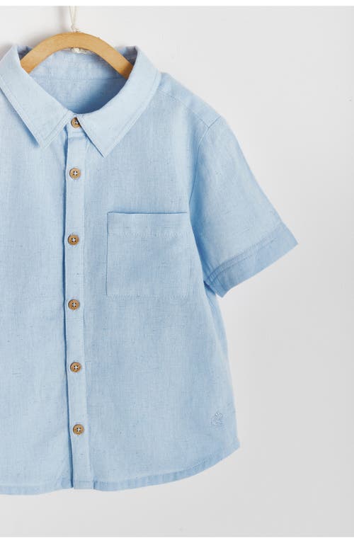 Babycottons Celebration Shirt In Pastel Blue