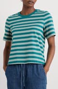 Seasalt Cornwall Copseland Stripe Organic Cotton T-Shirt
