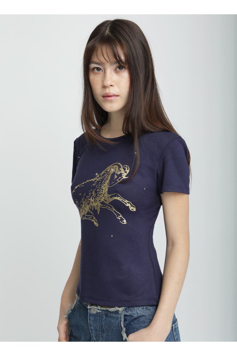 Aries Horoscope Tee, Alternate, color, Aries