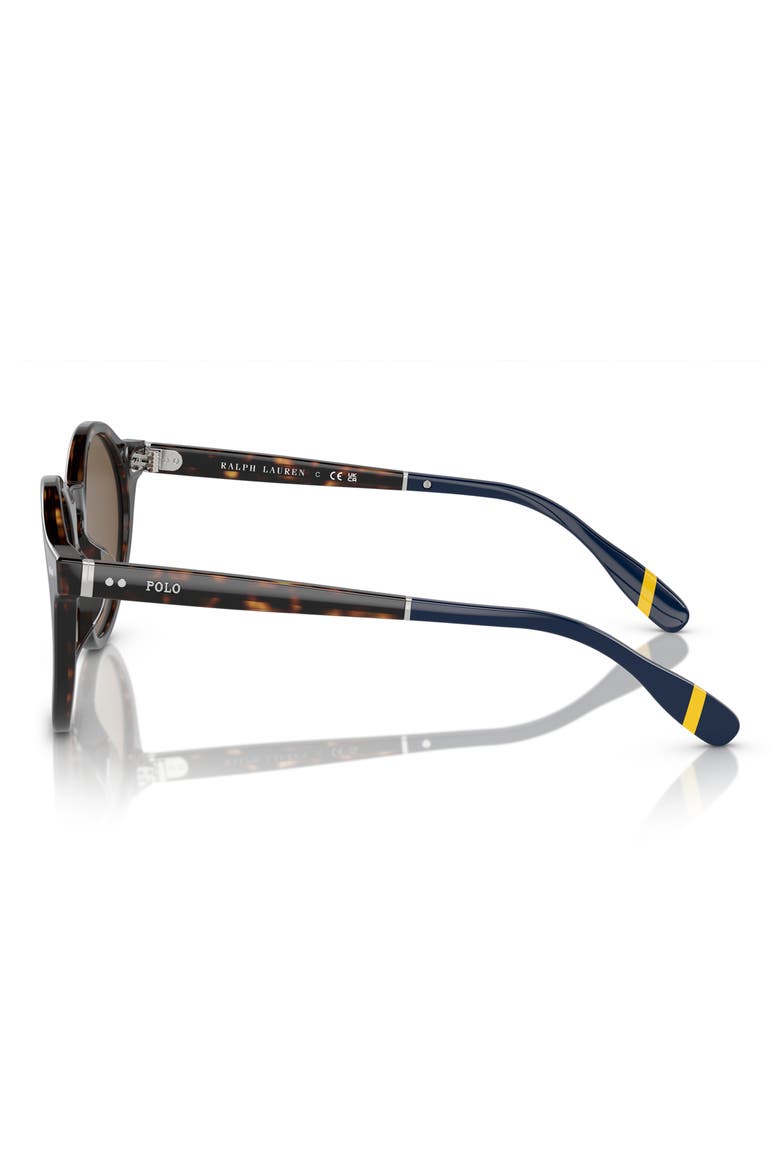 PH4204U 53mm Round Sunglasses, Alternate, color, SHINY DARK HAVANA / BROWN