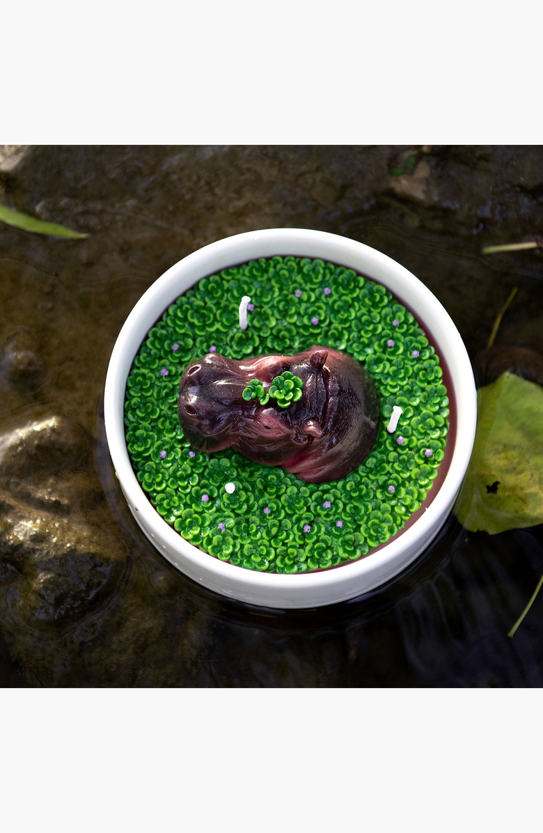 Southlake gifts Hippo Aromatherapy Scented Candle Bowl, Alternate, color, Brown / Purple / Green