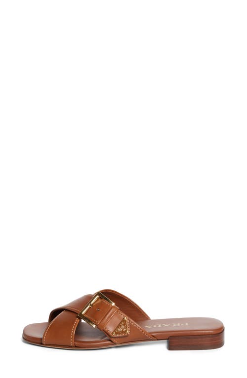 Prada Square Toe Flat Sandal In Brown