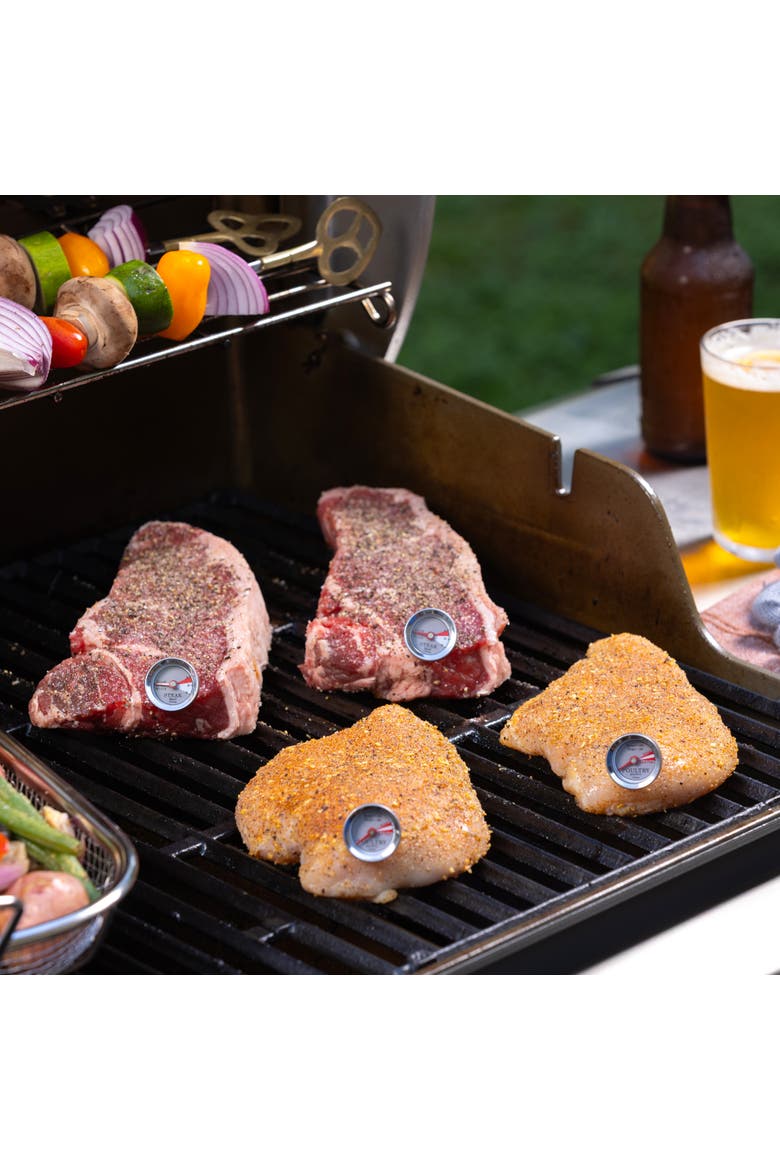 Mini Steak & Chicken Thermometer Set, 4 Piece, Alternate, color, Silver