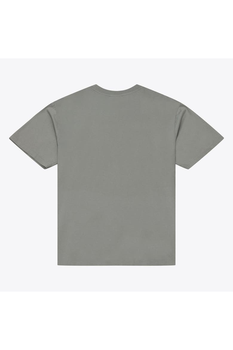 Men's  Mitchell & Ness  Gray Alabama Crimson Tide Core Icon T-Shirt, Alternate, color, Gray