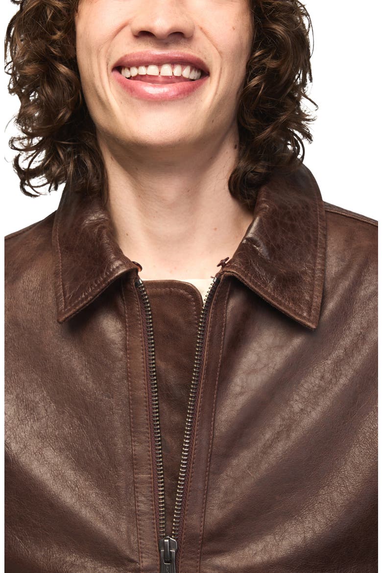 Leather Aviator Jacket, Alternate, color, BROWN