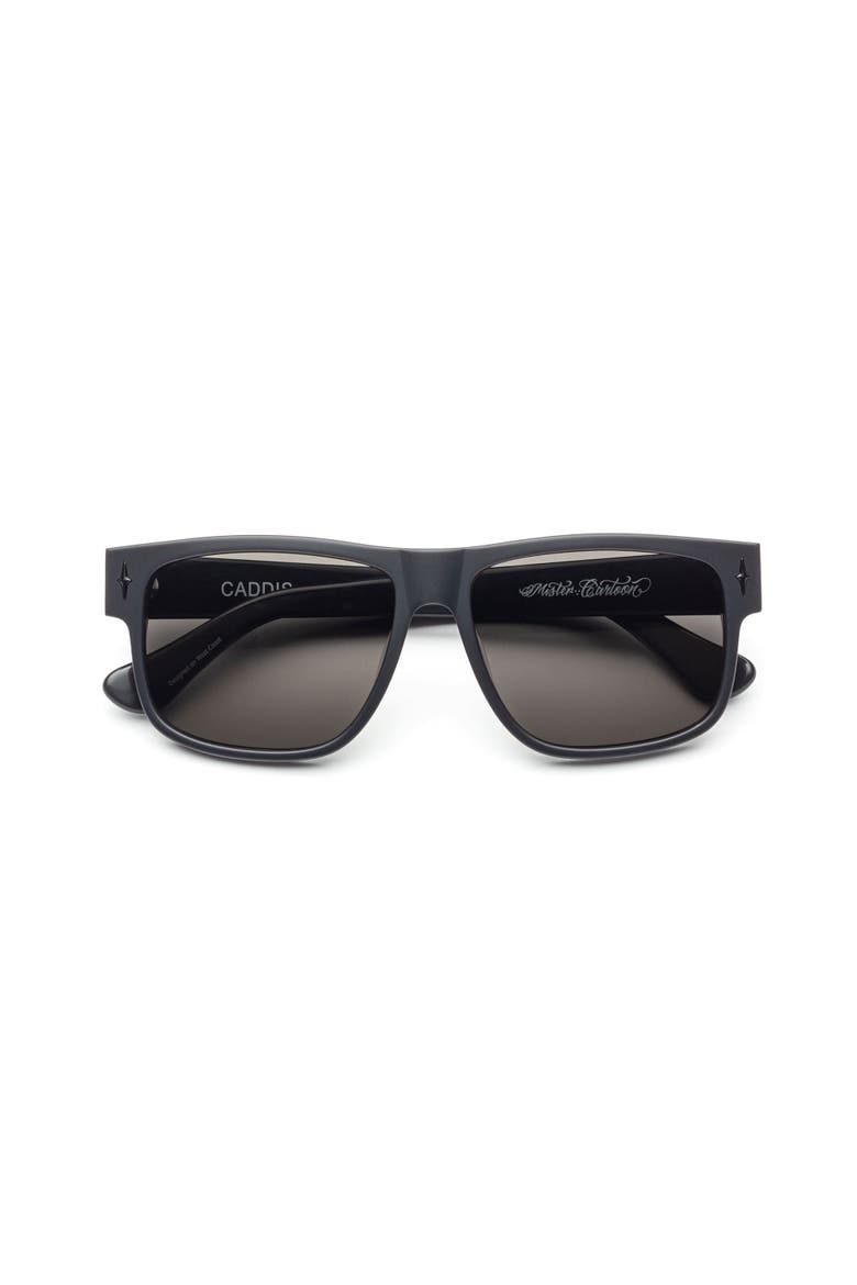 Mister Cartoon | Polarized Sunglasses, Main, color, Dark Metallic Grey