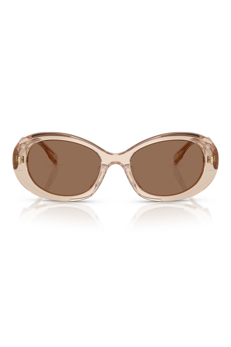 53mm Oval Sunglasses, Main, color, DARK BROWN