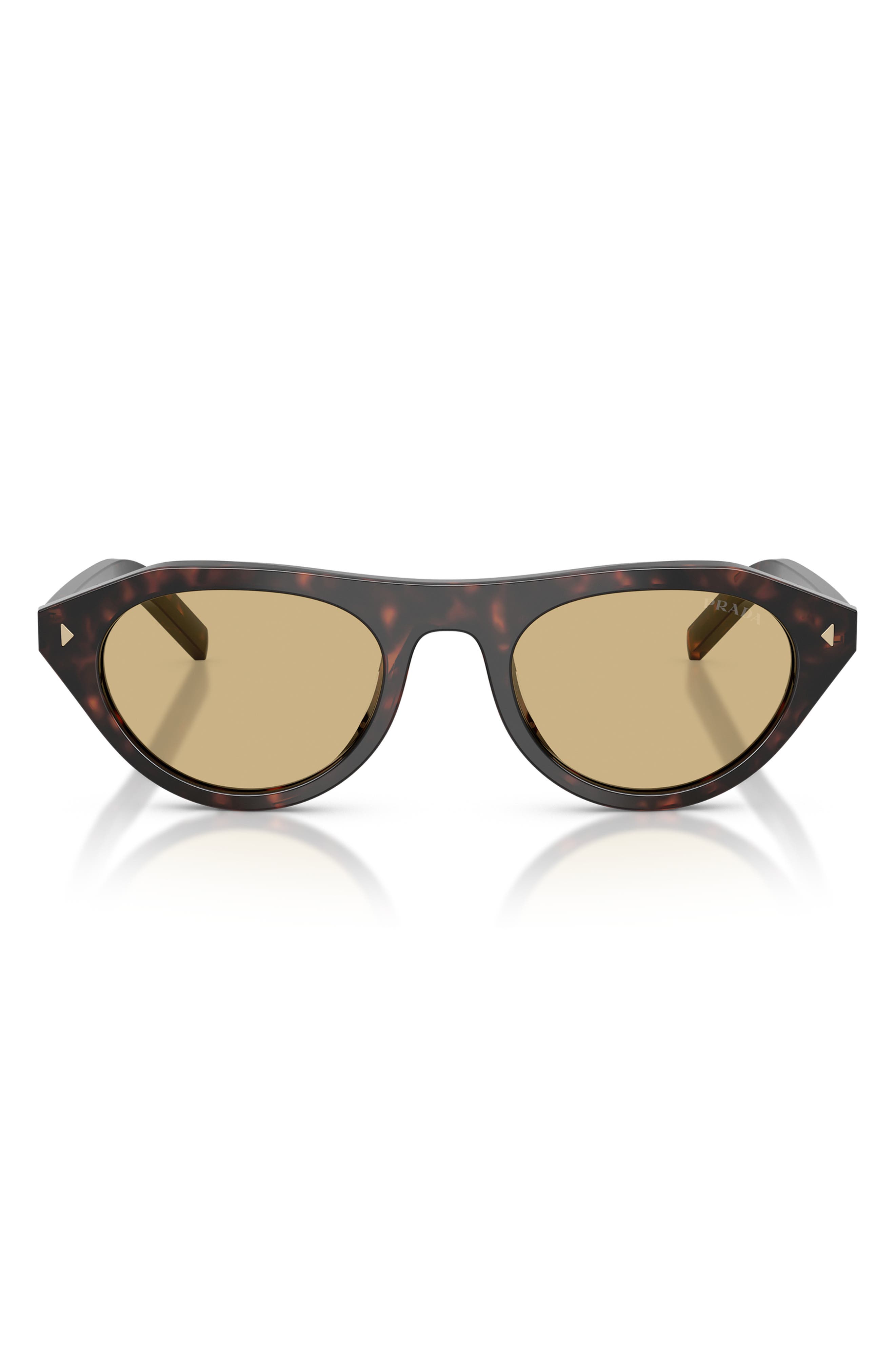 ROOT TORTOISE / LIGHT BROWN